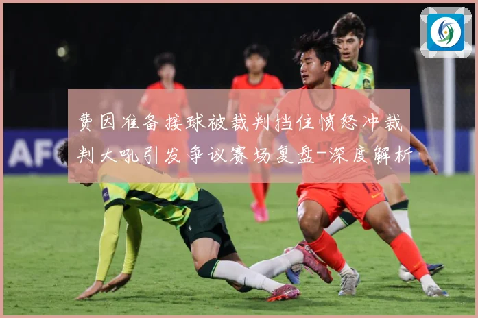 费因准备接球被裁判挡住愤怒冲裁判大吼引发争议赛场复盘-深度解析