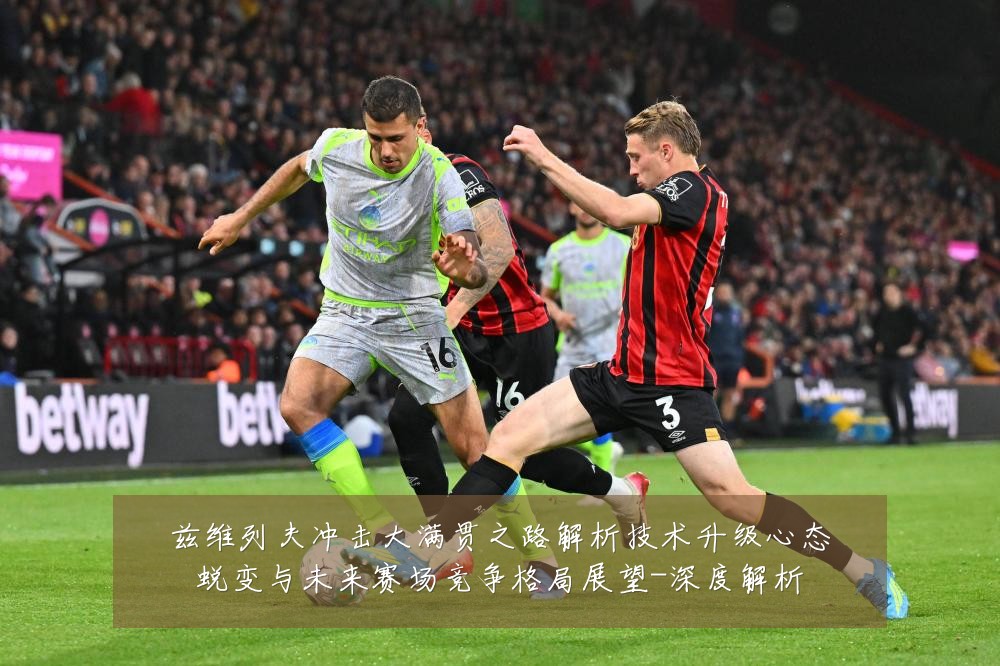 兹维列夫冲击大满贯之路解析技术升级心态蜕变与未来赛场竞争格局展望-深度解析